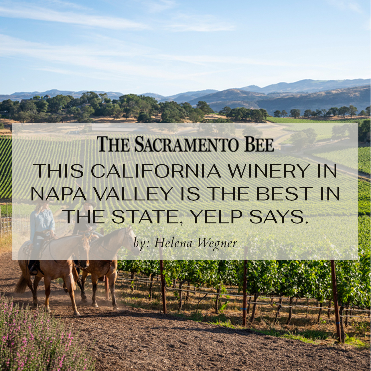 Wine Tasting Experience