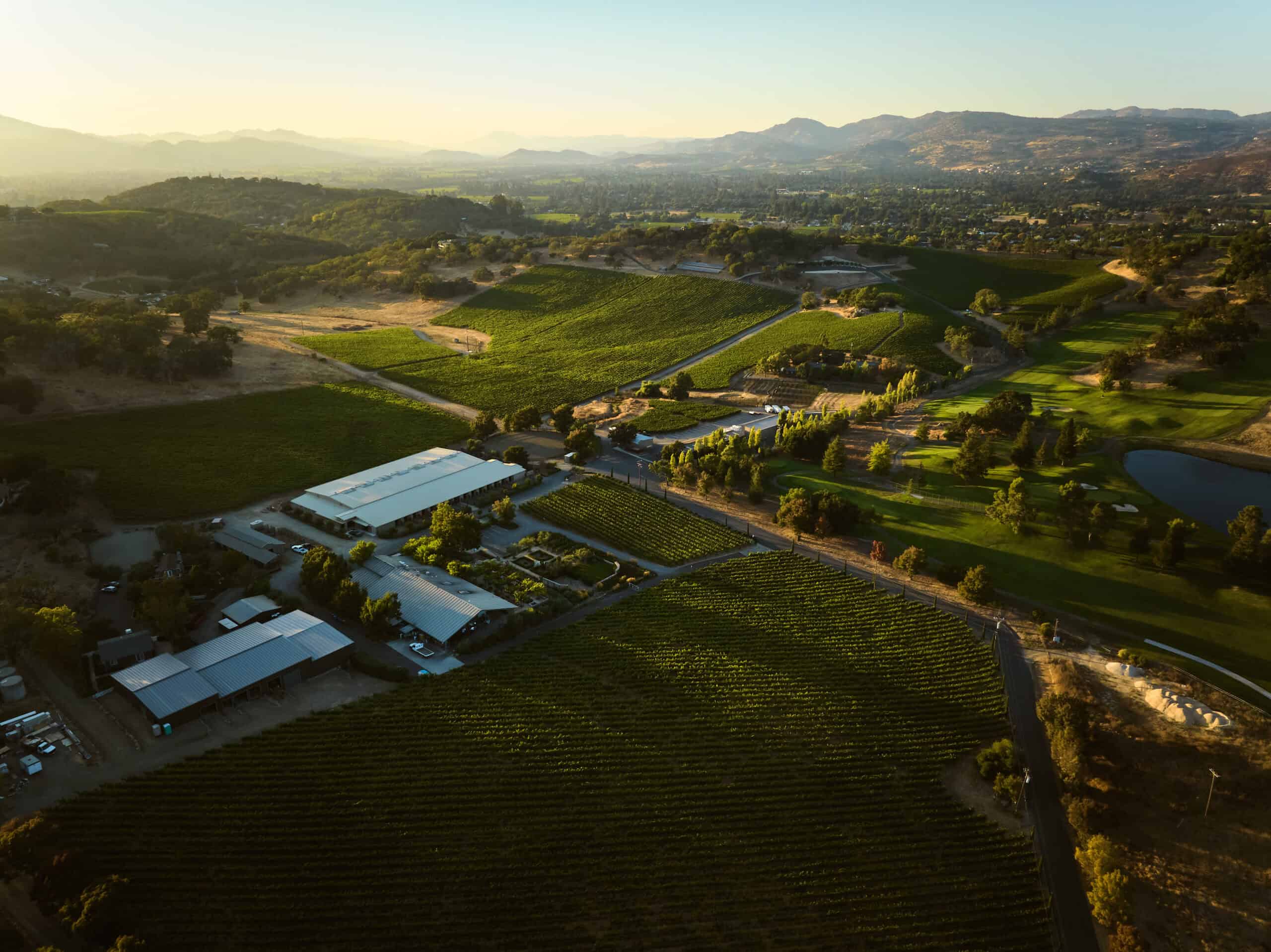 Wine Tasting for 2 - Shadybrook Estate